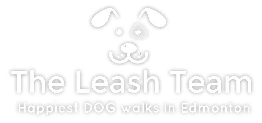 The Leash Team