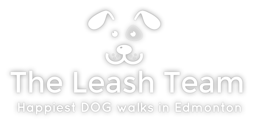 The Leash Team