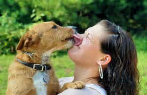 7 Reasons Why Dogs Lick Humans