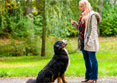 Positive Reinforcement Dog Training: Training Your Dog To Make Good Choices