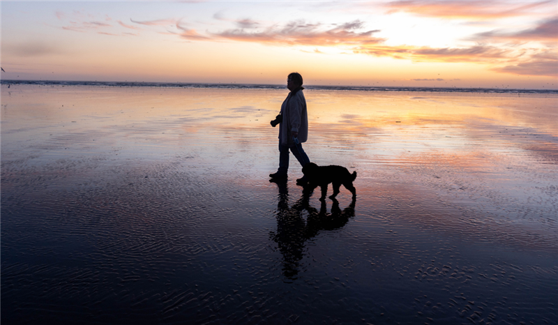 Dogs and Mental Health: How You and Your Dog Affect One Another