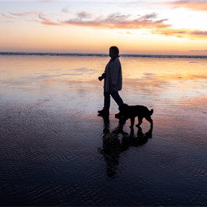 Dogs and Mental Health: How You and Your Dog Affect One Another