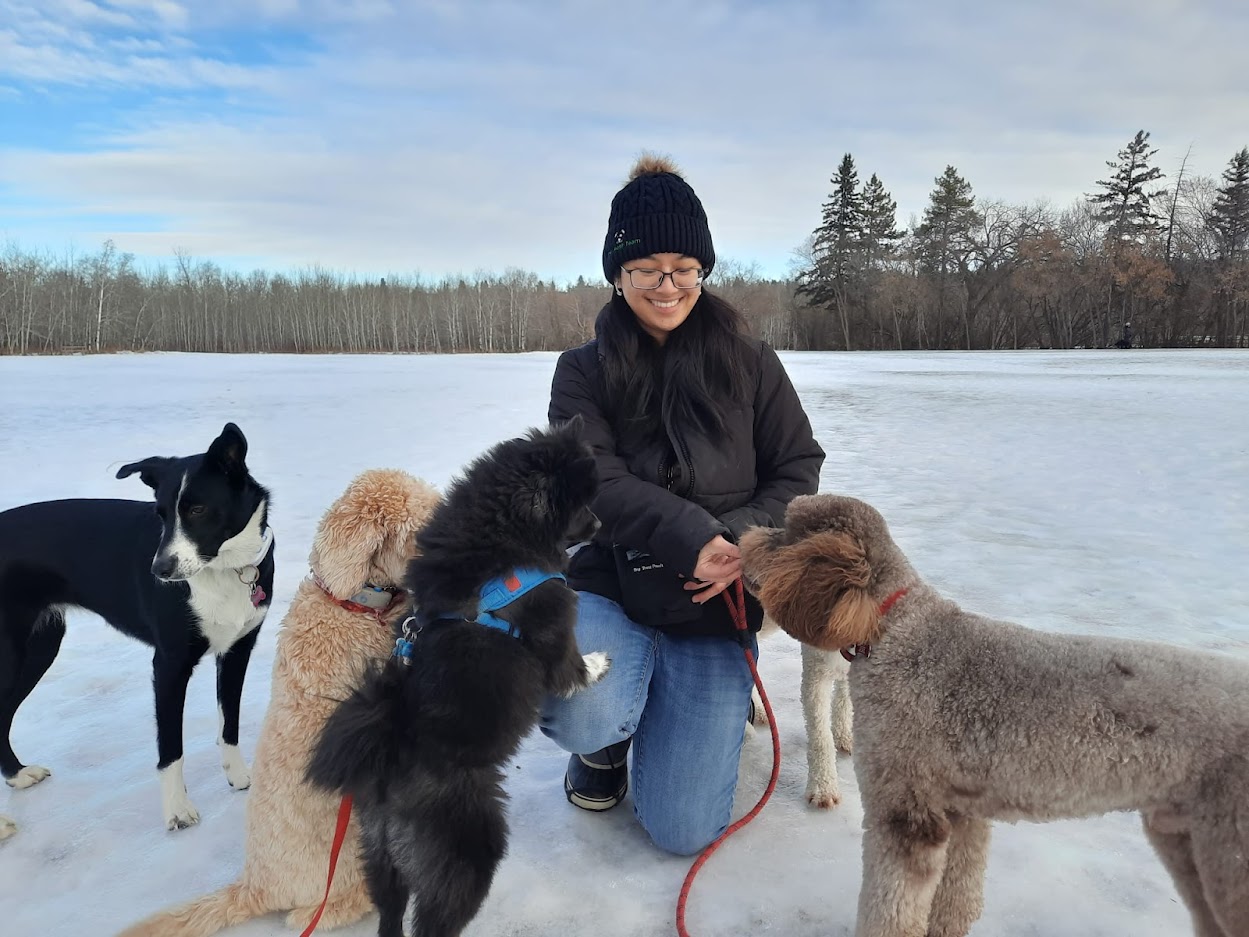 Private Dog Training Carrie Private Dog Training Carrie