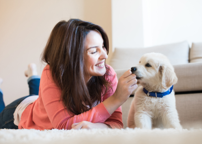 Puppy Crate Training