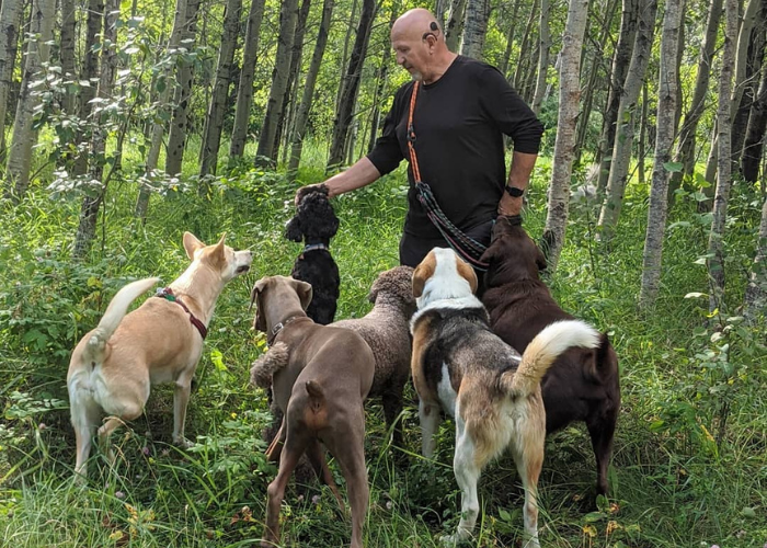 Private Dog Training Dan Private Dog Training Dan