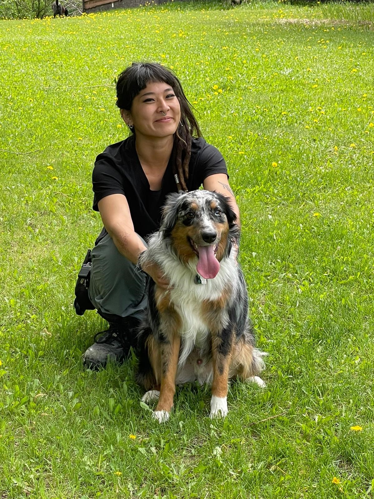 Private Dog Training Monica Private Dog Training Monica