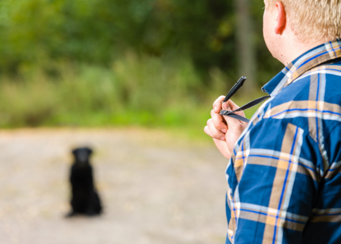 whistle training