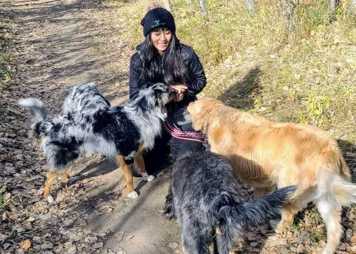 Dog walkers Edmonton Monica Dog walkers Edmonton Monica