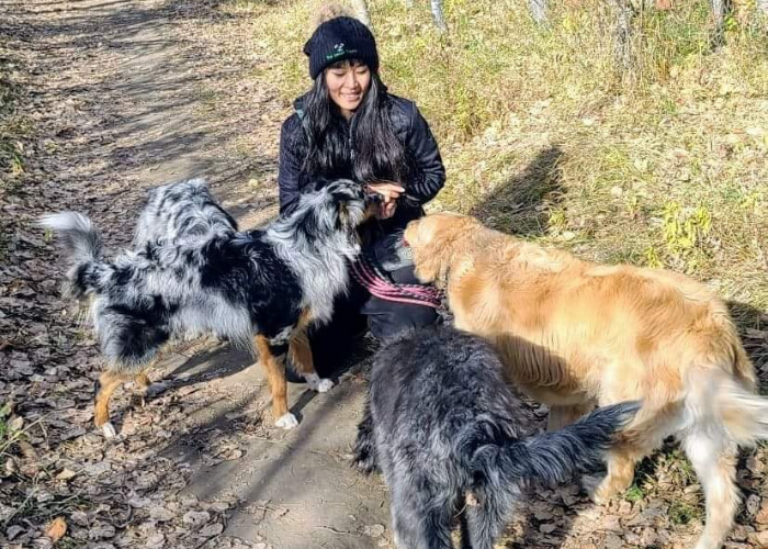 Dog walkers Edmonton Monica