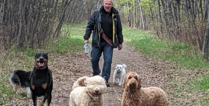 dog walking Edmonton